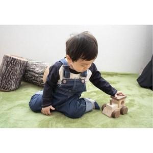 ふるさと納税 国産檜 おもちゃ IKONIH／アイコニー オルゴールトレイン 和歌山県高野町の画像