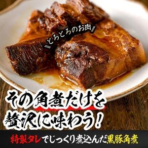 ふるさと納税 黒豚角煮極厚キューブ 計2kg(250g×8袋) 黒豚 肉 豚肉 国産 九州産 角煮 おつまみ 惣菜 おかず b0-189 鹿児島県志布志市の画像