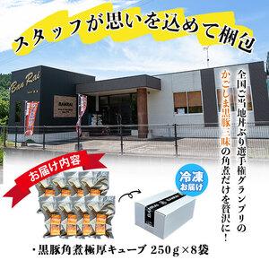 ふるさと納税 黒豚角煮極厚キューブ 計2kg(250g×8袋) 黒豚 肉 豚肉 国産 九州産 角煮 おつまみ 惣菜 おかず b0-189 鹿児島県志布志市の画像