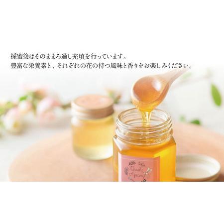 ふるさと納税 大西養蜂場 非加熱はちみつ さくら 300g 2本 ／【大西養蜂場】 桜 サクラ ２本 セット 蜂蜜 ハチミツ 国産 国産はちみつ 非加熱は.. 岩手県滝沢市の画像