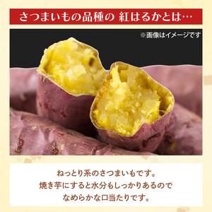 ふるさと納税 茨城県産 紅はるか 訳あり サイズミックス 約10kg｜訳あり わけあり 訳アリ さつまいも サツマイモ さつま芋 紅はるか べにはるか.. 茨城県行方市の画像