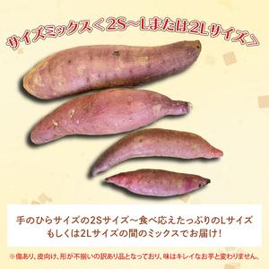 ふるさと納税 茨城県産 紅はるか 訳あり サイズミックス 約10kg｜訳あり わけあり 訳アリ さつまいも サツマイモ さつま芋 紅はるか べにはるか.. 茨城県行方市の画像