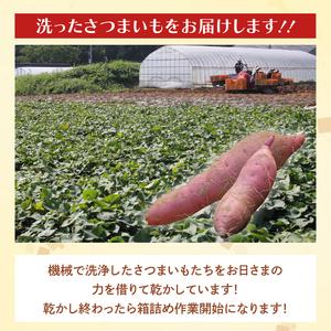 ふるさと納税 茨城県産 紅はるか 訳あり サイズミックス 約10kg｜訳あり わけあり 訳アリ さつまいも サツマイモ さつま芋 紅はるか べにはるか.. 茨城県行方市の画像