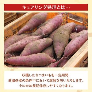 ふるさと納税 茨城県産 紅はるか 訳あり サイズミックス 約10kg｜訳あり わけあり 訳アリ さつまいも サツマイモ さつま芋 紅はるか べにはるか.. 茨城県行方市の画像