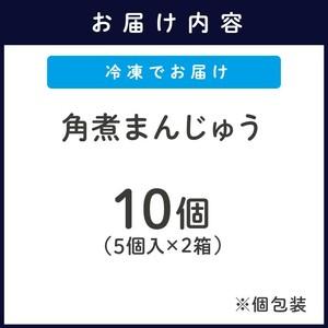 ふるさと納税 角煮まんじゅう10個(1箱5個入り×2箱)( 角煮 中華まん 贈答 お取り寄せ 送料無料 )【B4-119】 長崎県松浦市の画像