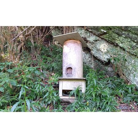 ふるさと納税 対馬天然和蜂 蜂蜜 ハチミツ 蜂蜜 天然 お歳暮 ギフト [WAD052] はちみつ  長崎県対馬市の画像