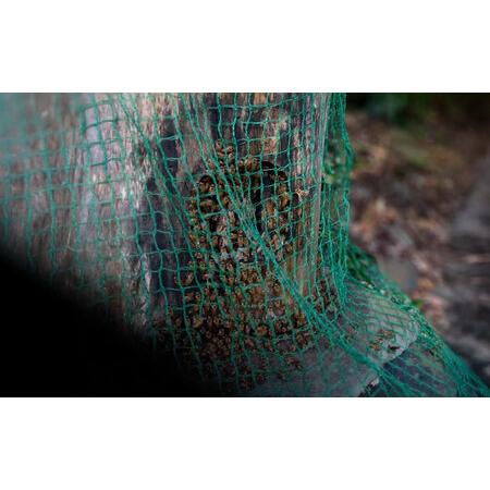 ふるさと納税 対馬天然和蜂 蜂蜜 ハチミツ 蜂蜜 天然 お歳暮 ギフト [WAD052] はちみつ  長崎県対馬市の画像