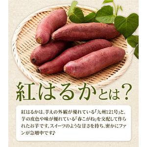 ふるさと納税 訳あり 紅はるか 約10kg 2S〜3L混合 株式会社Foody’s 《90日以内に発送予定（土日祝を除く）》熊本県 菊池市 訳あり さつまいも .. 熊本県菊池市の画像