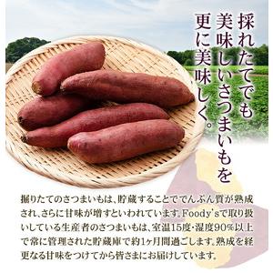 ふるさと納税 秀品 紅はるか 約10kg S〜2L混合 株式会社Foody’s 《90日以内に発送予定（土日祝を除く）》熊本県 菊池市 さつまいも 芋 紅蜜芋 .. 熊本県菊池市の画像