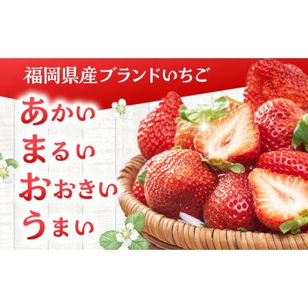 ふるさと納税 【全3回定期便】福岡産 あまおう ジェラート 1000ml [ADBW048] あまおう ジェラート 福岡県桂川町の画像