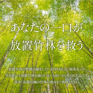 ふるさと納税 かぐや姫セット （お焼き×10 筍スルメ×2） たけのこ タケノコ 筍 おやき お焼き するめ スルメ 山椒 豚 ぶた 胡椒 こ.. 京都府木津川市