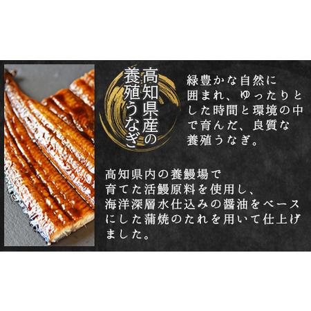 ふるさと納税 国産 うなぎ 定期便 6回 約220g 2尾 蒲焼き 高知県産 養殖 魚介 国産 海鮮 魚 かばやき 鰻 ウナギ 惣菜 おかず お手軽 加工品 加工.. 高知県香南市_1