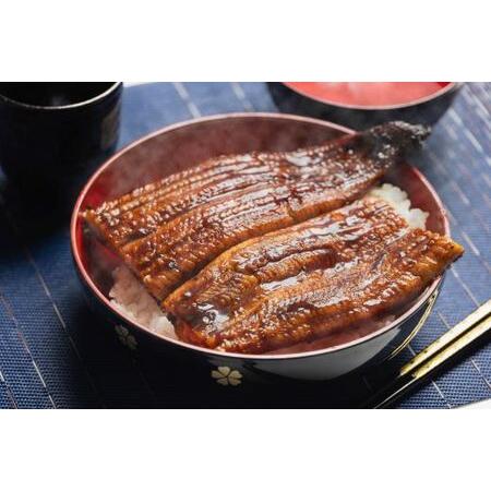 ふるさと納税 国産 うなぎ 定期便 6回 約220g 2尾 蒲焼き 高知県産 養殖 魚介 国産 海鮮 魚 かばやき 鰻 ウナギ 惣菜 おかず お手軽 加工品 加工.. 高知県香南市_3