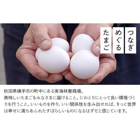 ふるさと納税 【常温発送】《定期便7ヶ月》赤ひとたま 20個・ひとたま 20個 計40個（業務用）【発送時期が選べる】東海林養鶏場 赤ひとたま ひと.. 秋田県横手市_4