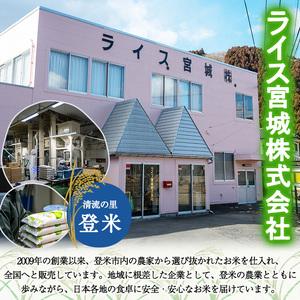 ふるさと納税 【令和7年度産】 ひとめぼれ 20kg (5kg×4袋) 和紙袋仕様 お米 おこめ 米 コメ 白米 ご飯 ごはん おにぎり お弁当 【ライス宮.. 宮城県登米市