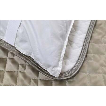 ふるさと納税 【ベージュ】シルクサテン100％ まくらパッドS【35×50cm】2枚組 枕パッド まくらパッド まくらカバー 大阪府阪南市