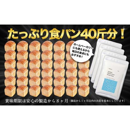 ふるさと納税 北海道産 「春よ恋」「ゆめちから」ブレンド小麦粉 