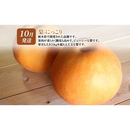 ふるさと納税 大玉な梨 にっこり 2玉 約2kg と いちご市 鹿沼の ふるさと納税 大玉な梨 にっこり 2玉 約2kg と いちご市 鹿沼の
