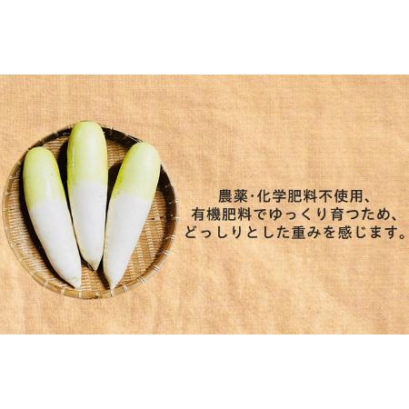 川上 澄生、四季の楽しみ西洋骨牌77、希少画集画、新品額装付