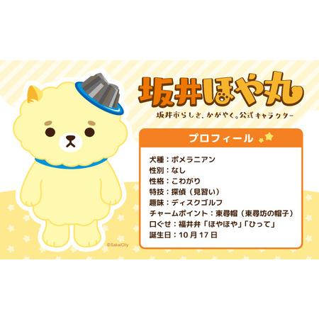 ふるさと納税 坂井市公式キャラクター「坂井ほや丸」ぬいぐるみ15cm ＆ 限定アクリルキーホルダー 【ほや丸 ご当地キャラクター 公式 キャラクタ.. 福井県坂井市の画像