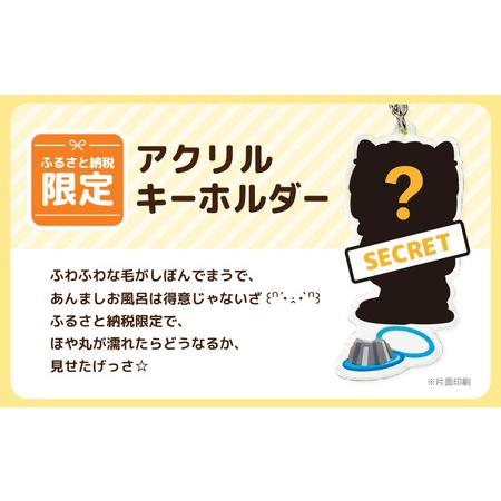 ふるさと納税 坂井市公式キャラクター「坂井ほや丸」ぬいぐるみ15cm ＆ 限定アクリルキーホルダー 【ほや丸 ご当地キャラクター 公式 キャラクタ.. 福井県坂井市の画像