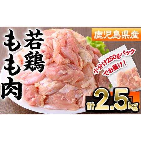 ふるさと納税 鹿児島県産若鶏もも肉(計2.5kg・250g×10P) 若鶏 もも 冷凍[株式会社羽根]A869 鹿児島県曽於市