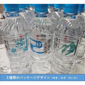 ふるさと納税 津南の天然水 550ml×24本 12ヶ月定期便 | 天然水 新潟県津南町の画像