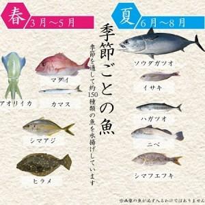 ふるさと納税 魚 鮮魚 ボックス 3-5kg ( 定期便 で人気の 神経締め の単体鮮魚ボックス ) リピーター様続出 高知県 須崎市 高知県須崎市|furunavi|02