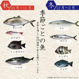 ふるさと納税 魚 鮮魚 ボックス 3-5kg ( 定期便 で人気の 神経締め の単体鮮魚ボックス ) リピーター様続出 高知県 須崎市 高知県須崎市|furunavi|03