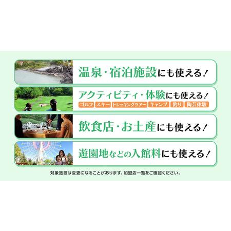 ふるさと納税 嬬恋村 で使える 感謝券21,000円分 (21枚) [AO032tu] 群馬県嬬恋村の画像