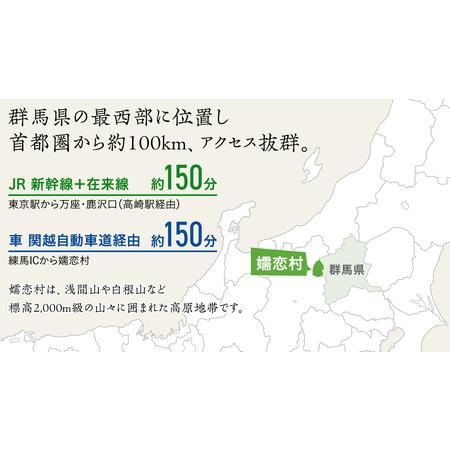 ふるさと納税 嬬恋村 で使える 感謝券21,000円分 (21枚) [AO032tu] 群馬県嬬恋村の画像