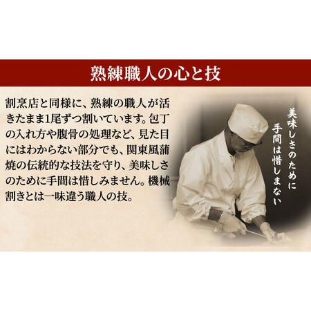 ふるさと納税 うなぎ蒲焼 180g×3尾(540g) うなぎ ウナギ 鰻 蒲焼 蒲焼き冷凍 国産 大五 大五通商 静岡 島田市 静岡県島田市_3
