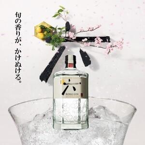 ふるさと納税 ジャパニーズクラフトジン ROKU (六) 200ml×24本