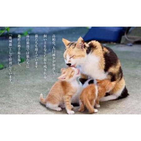 ふるさと納税 ねこの島！湯島！オリジナルポストカード【地域猫活動