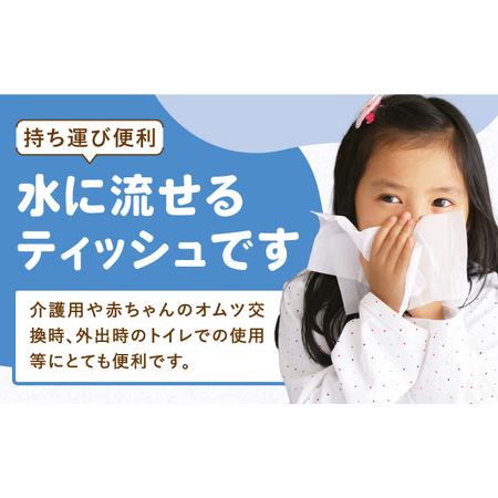 ふるさと納税 【2回定期便(3ヵ月に1回お届け)】 水に流せる 3枚重ね ティッシュ ソフトパック 30パック (1パック:100組(300枚)入り) 【河野製紙.. 高知県高知市