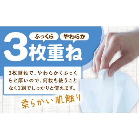 ふるさと納税 【2回定期便(3ヵ月に1回お届け)】 水に流せる 3枚重ね ティッシュ ソフトパック 30パック (1パック:100組(300枚)入り) 【河野製紙.. 高知県高知市