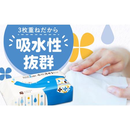 ふるさと納税 【2回定期便(3ヵ月に1回お届け)】 水に流せる 3枚重ね ティッシュ ソフトパック 30パック (1パック:100組(300枚)入り) 【河野製紙.. 高知県高知市