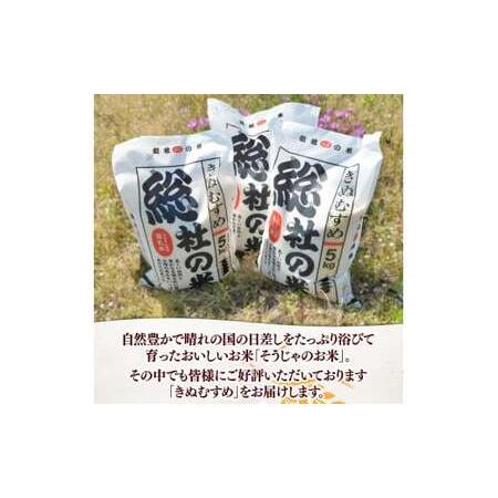 食品 きぬむすめ 15kg