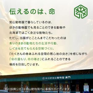 ふるさと納税 ジグソーパズル　500P　双子のヒョウ2018 【 旭山動物園 公式 グッズ パズル おもちゃ ホビー 北海道 旭川 】_04602 北海道旭川市_2