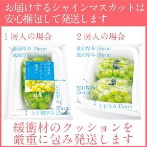 ふるさと納税 【2026年 予約受付中】 シャインマスカット 晴王 約2.4kg(3〜5房) 9月〜10月出荷/ 岡山県産 種無し 皮ごと食べる みずみずしい .. 岡山県瀬戸内市_3