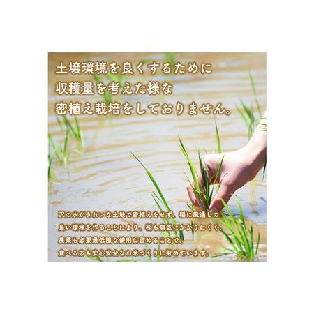 ふるさと納税 あきたこまち 20kg（5kg×4袋）【無洗米】令和7年産 秋田県産 こまちライン 秋田県横手市の画像
