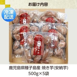 ふるさと納税 ＜訳あり＞鹿児島県種子島産冷凍焼きいも（安納芋）一口サイズ約2.5kg（500g×5袋）！小分け 冷凍 【A-1772H】 鹿児島県いちき串木野市の画像