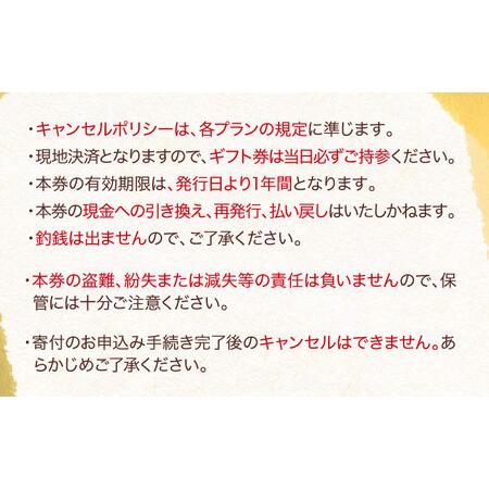 ふるさと納税 ギフト券 ホテル NIPPONIA 大洲 ホテル 9,000円ギフト券 ギフト券[AGDP010] 愛媛県大洲市_4