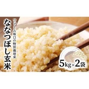 ふるさと納税 令和7年産！ファーム坂口の特別栽培米 ななつぼし玄米