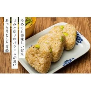 ふるさと納税 令和7年産！ファーム坂口の特別栽培米 ななつぼし玄米