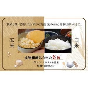 ふるさと納税 令和7年産！ファーム坂口の特別栽培米 ななつぼし玄米