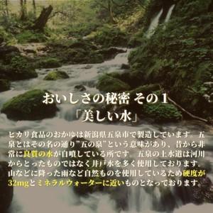 ふるさと納税 岩船産コシヒカリぜんざい（200g×10個入） | ぜんざい パック 新潟県五泉市_3