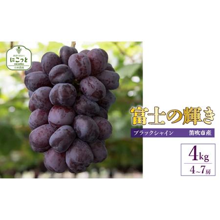 ふるさと納税 【2026年発送☆先行予約】たっぷり4キロ 富士の輝き（4-7