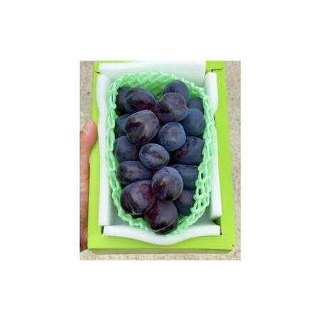 ふるさと納税 【2026年発送☆先行予約】たっぷり4キロ 富士の輝き（4-7