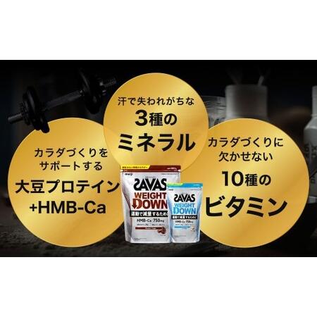 ふるさと納税 ザバスプロウエイトダウンお試しセットA（ウエイトダウンチョコレート風味800ｇ・ウエイトダウンヨ−グルト風味280ｇ）【SAVAS ザ.. 岡山県倉敷市_2